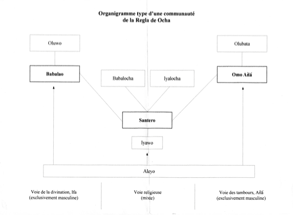 organigramme