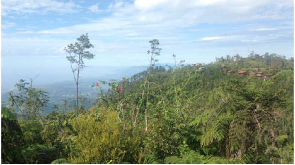 Paysage Gran Piedra