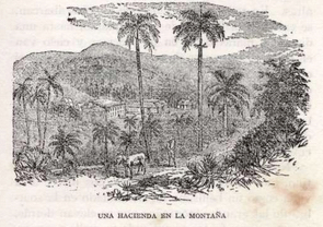 Hacienda