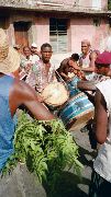 invasion des congas 6