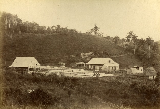 ermitage vers 1893